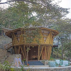 Bamboo Luxury Cottage